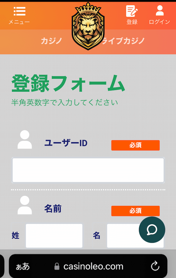 カジノレオ 必要情報1