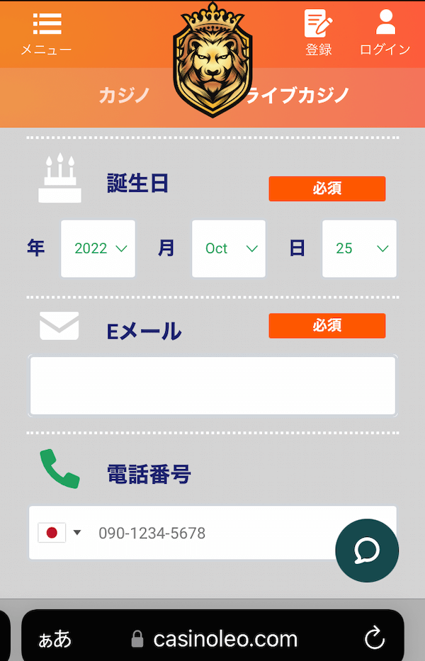 カジノレオ 必要情報2
