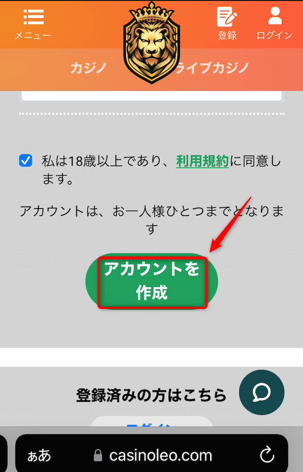 カジノレオ 必要情報3