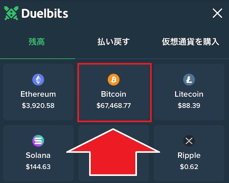 デュエルビッツ 入金手順2