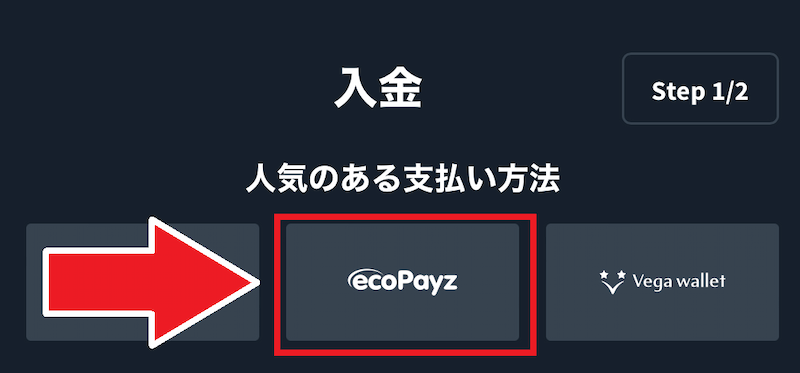 スナッチカジノ 入金手順2