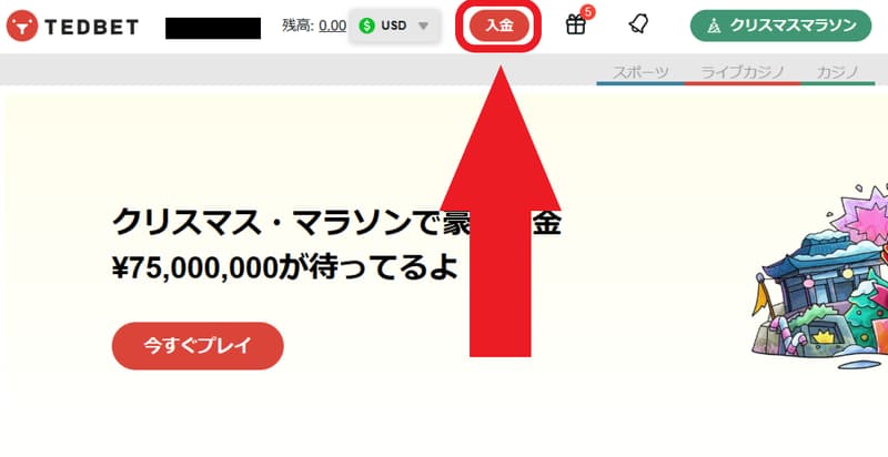 テッドベットカジノ 入金
