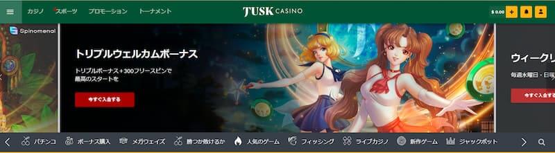 タスクカジノ 導入
