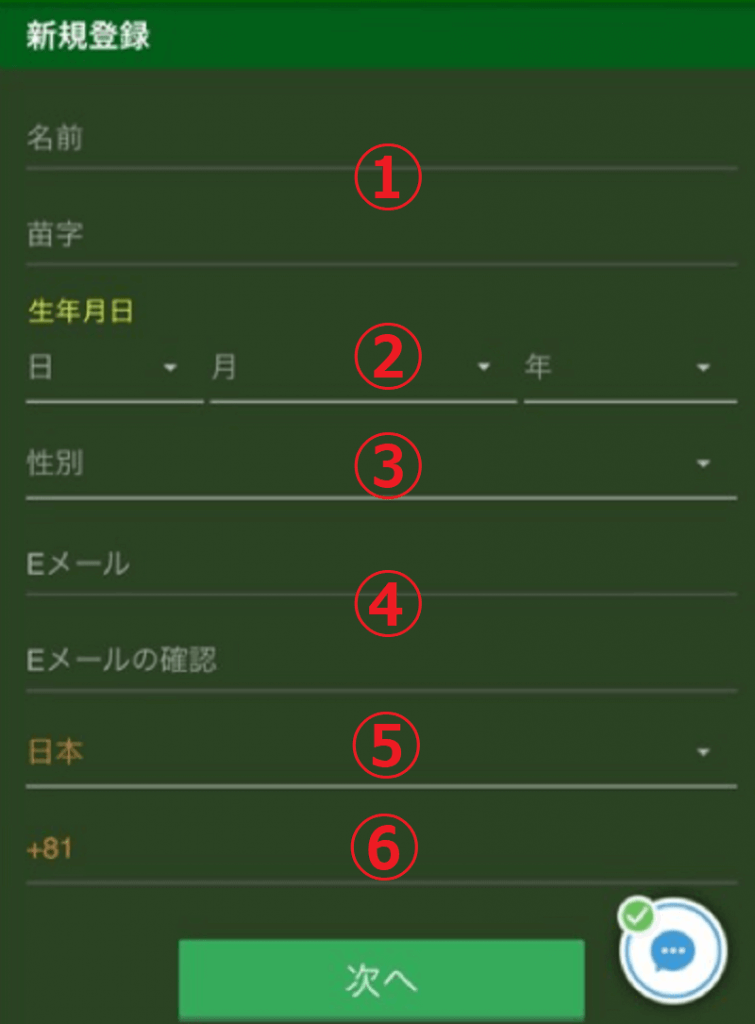 ワイルドジャングルカジノ登録情報の入力