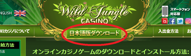 ワイルドジャングルカジノ（Wild Jungle Casino）登録方法
